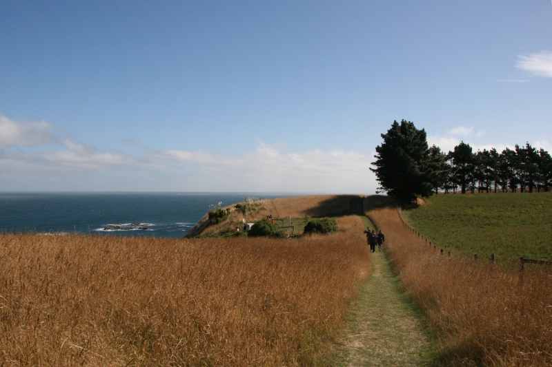 Nieuw-Zeeland 2011 - 1165
